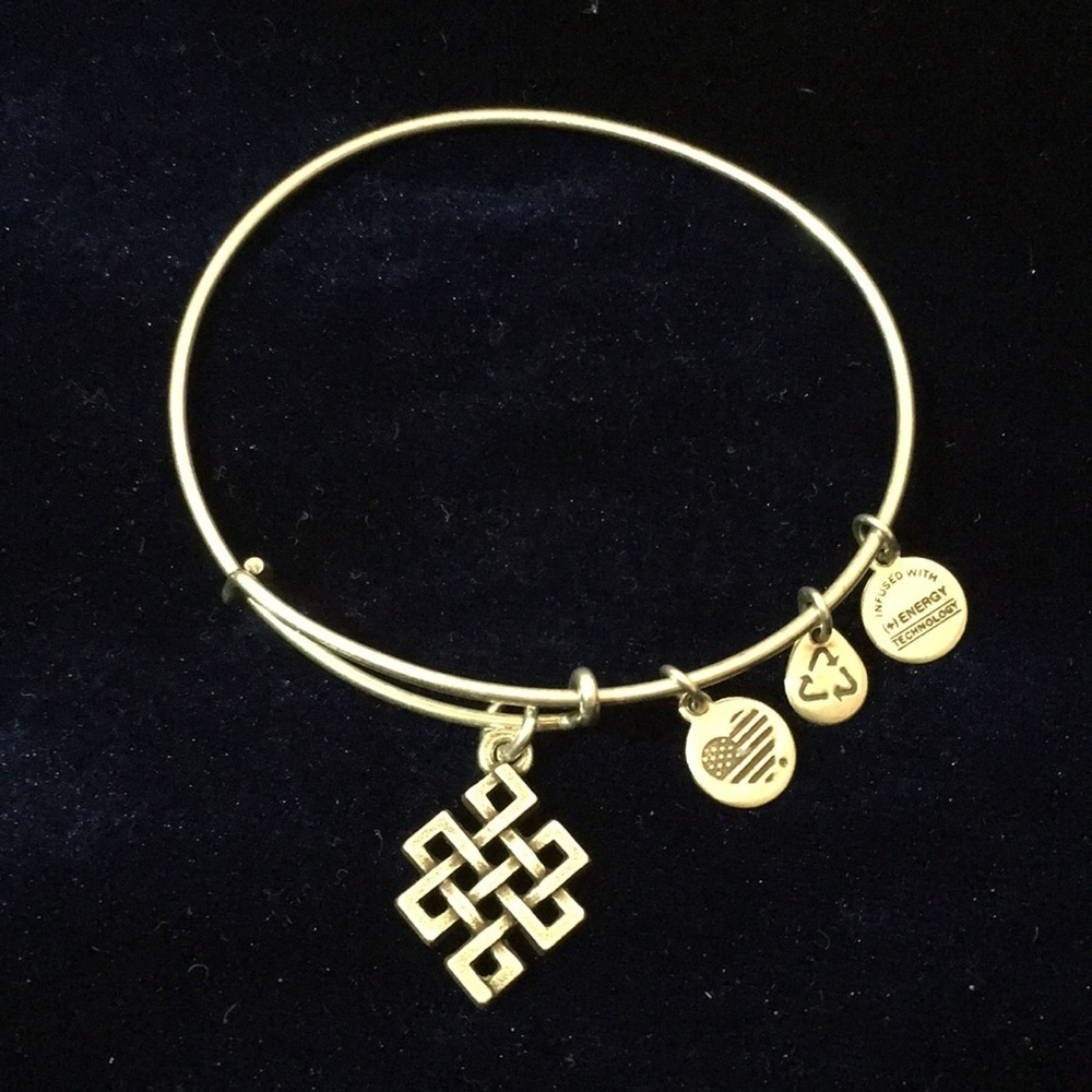 Ladies’ Alex and Ani Gold-tone Endless Knot Charm Bracelet